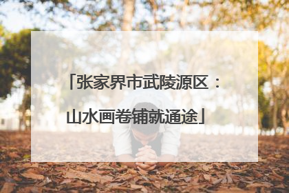 张家界市武陵源区：山水画卷铺就通途