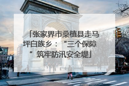 张家界市桑植县走马坪白族乡：“三个保障”筑牢防汛安全堤