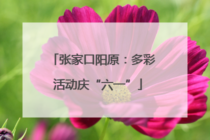 张家口阳原：多彩活动庆“六一”