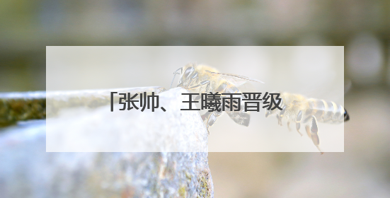 张帅、王曦雨晋级温网资格赛次轮