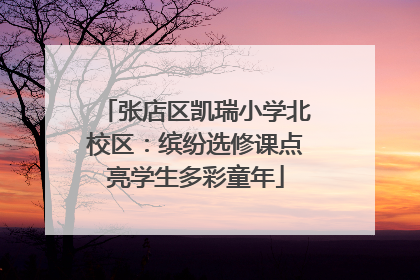 张店区凯瑞小学北校区：缤纷选修课点亮学生多彩童年
