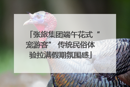 张旅集团端午花式“宠游客” 传统民俗体验拉满假期氛围感