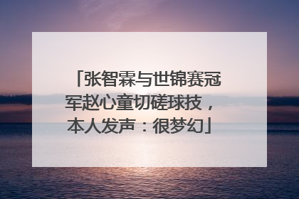 张智霖与世锦赛冠军赵心童切磋球技，本人发声：很梦幻