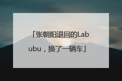 张朝阳退回的Labubu，换了一辆车