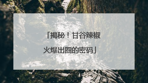 揭秘！甘谷辣椒火爆出圈的密码