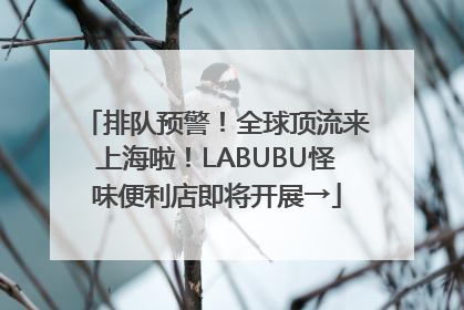 排队预警！全球顶流来上海啦！LABUBU怪味便利店即将开展→