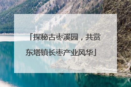 探秘古枣溪园，共赏东塔镇长枣产业风华