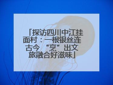 探访四川中江挂面村：一根银丝连古今 “烹”出文旅融合好滋味