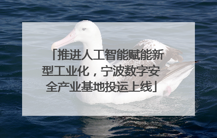 推进人工智能赋能新型工业化，宁波数字安全产业基地投运上线