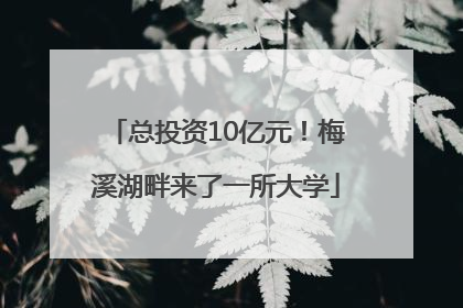 总投资10亿元！梅溪湖畔来了一所大学