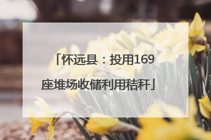 怀远县：投用169座堆场收储利用秸秆