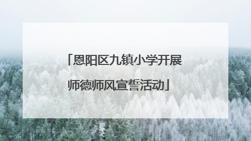 恩阳区九镇小学开展师德师风宣誓活动
