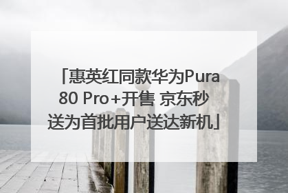 惠英红同款华为Pura 80 Pro+开售 京东秒送为首批用户送达新机