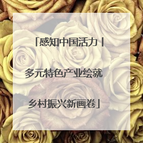 感知中国活力丨多元特色产业绘就乡村振兴新画卷