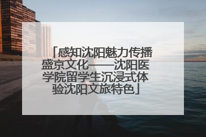 感知沈阳魅力传播盛京文化——沈阳医学院留学生沉浸式体验沈阳文旅特色