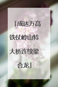 成达万高铁仗岭山特大桥连续梁合龙