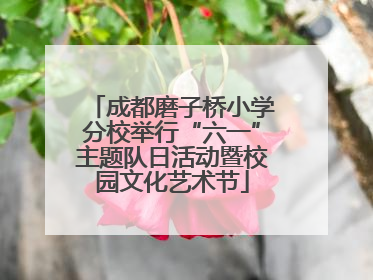 成都磨子桥小学分校举行“六一”主题队日活动暨校园文化艺术节