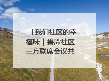 我们社区的幸福味｜碧潭社区三方联席会议共建紫岫幸福家