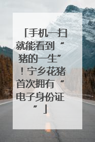 手机一扫就能看到“猪的一生”！宁乡花猪首次拥有“电子身份证”