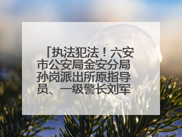 执法犯法！六安市公安局金安分局孙岗派出所原指导员、一级警长刘军被“双开”