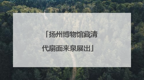 扬州博物馆藏清代扇面来泉展出