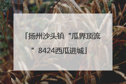 扬州沙头镇“瓜界顶流”8424西瓜进城
