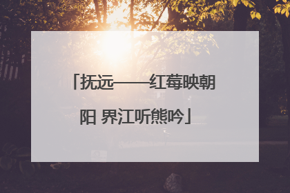 抚远——红莓映朝阳 界江听熊吟