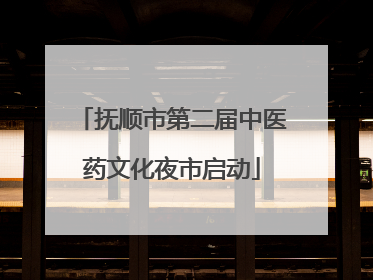 抚顺市第二届中医药文化夜市启动