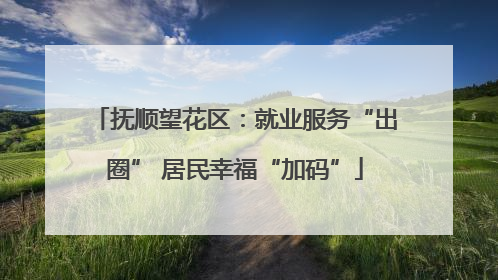 抚顺望花区：就业服务“出圈” 居民幸福“加码”