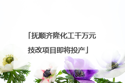抚顺齐隆化工千万元技改项目即将投产