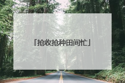 抢收抢种田间忙