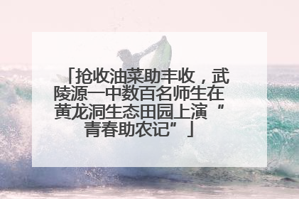 抢收油菜助丰收，武陵源一中数百名师生在黄龙洞生态田园上演“青春助农记”