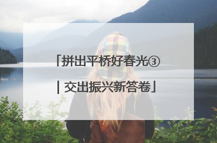 拼出平桥好春光③｜交出振兴新答卷