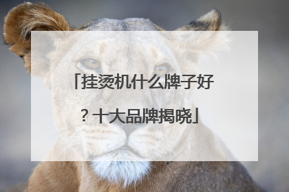 挂烫机什么牌子好？十大品牌揭晓