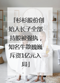 杉杉股份创始人长子全部持股被强执，知名牛散魏巍斥资1亿元入局