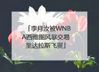 李月汝被WNBA西雅图风暴交易至达拉斯飞翼