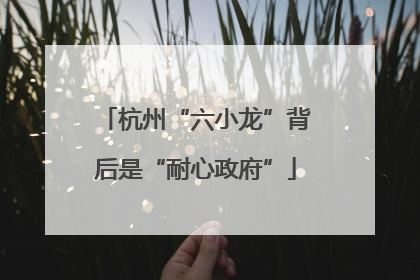 杭州“六小龙”背后是“耐心政府”