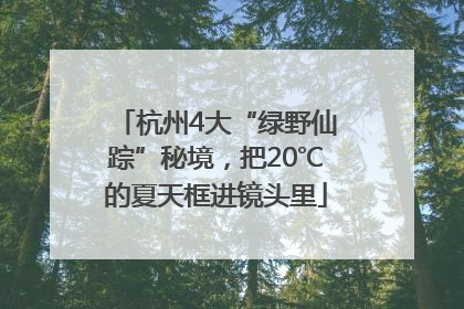 杭州4大“绿野仙踪”秘境，把20℃的夏天框进镜头里