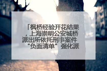 枫桥经验开花结果，上海崇明公安城桥派出所依托刑事案件“负面清单”强化派出所“主防”