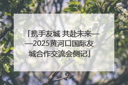 携手友城 共赴未来——2025黄河口国际友城合作交流会侧记