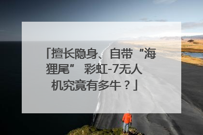 擅长隐身、自带“海狸尾” 彩虹-7无人机究竟有多牛？