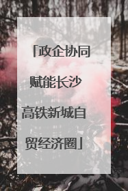 政企协同 赋能长沙高铁新城自贸经济圈