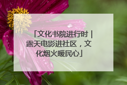 文化书院进行时｜露天电影进社区，文化烟火暖民心