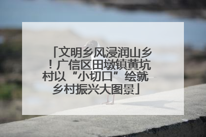 文明乡风浸润山乡！广信区田墩镇黄坑村以“小切口”绘就乡村振兴大图景