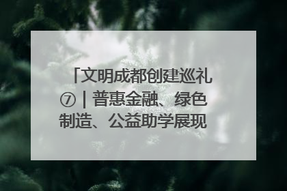 文明成都创建巡礼⑦｜普惠金融、绿色制造、公益助学展现城市文明底色