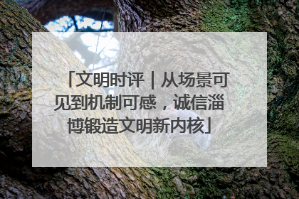 文明时评｜从场景可见到机制可感，诚信淄博锻造文明新内核