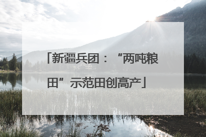 新疆兵团：“两吨粮田”示范田创高产