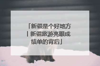 新疆是个好地方丨新疆旅游亮眼成绩单的背后
