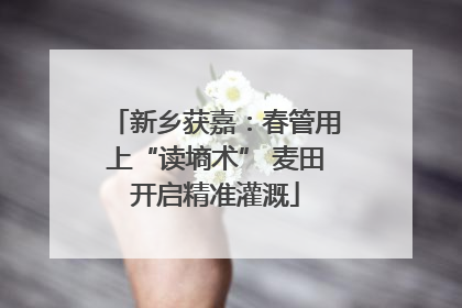 新乡获嘉：春管用上“读墒术” 麦田开启精准灌溉