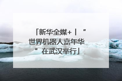 新华全媒+丨“世界机器人嘉年华”在武汉举行